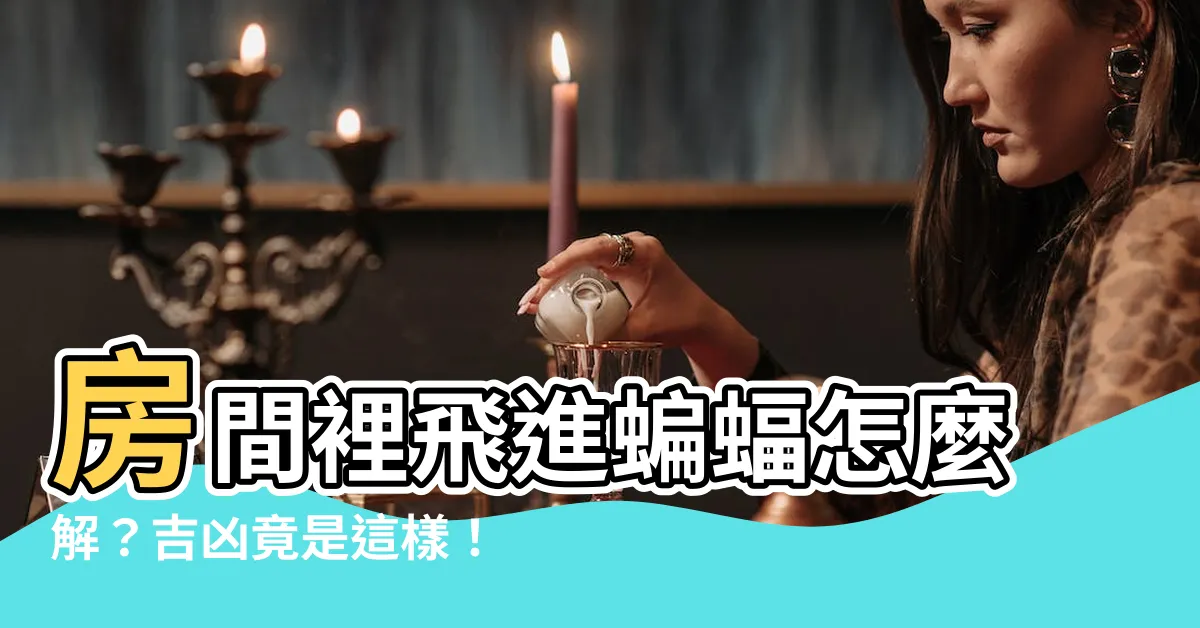【房間有蝙蝠怎麼辦】房間裡飛進蝙蝠怎麼解？吉凶竟是這樣！