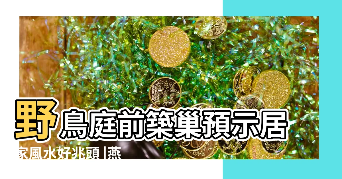 【鳥來築巢】野鳥庭前築巢預示居家風水好兆頭 |燕築巢報喜訊民俗專家 |野鳥來築巢你會怎麼做 |