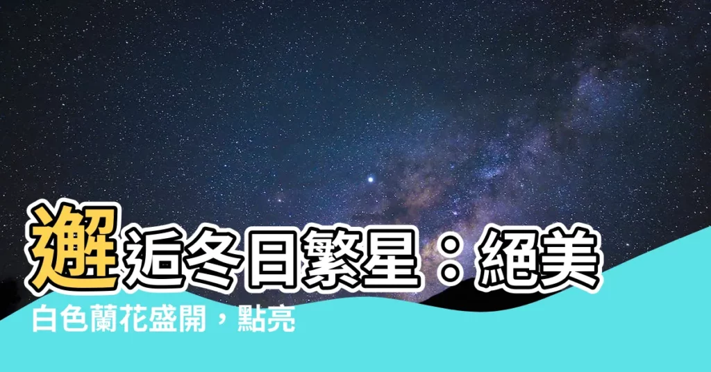 【白色蘭花】邂逅冬日繁星：絕美白色蘭花盛開，點亮生命的光彩