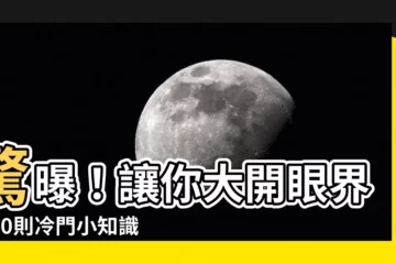 【小知識】驚曝！讓你大開眼界的50則冷門小知識