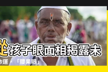 【孩子眼面相】從孩子眼面相揭露未來命運，「腰果眼」孩子有富貴相！
