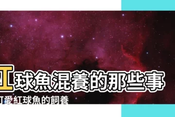 【紅球魚混養】紅球魚混養的那些事：可愛紅球魚的飼養問答