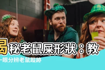 【老鼠屎形狀】揭秘老鼠屎形狀：教你一眼分辨老鼠蹤跡