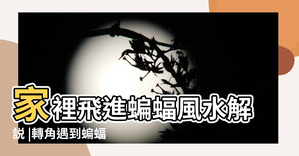 【家裡跑蝙蝠】家裡飛進蝙蝠風水解説 |轉角遇到蝙蝠 |有什麼徵兆 |