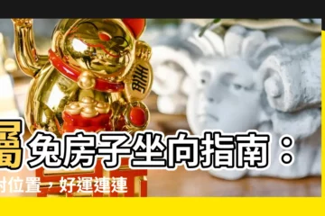 【屬兔房子坐向】屬兔房子坐向指南：住對位置，好運連連！