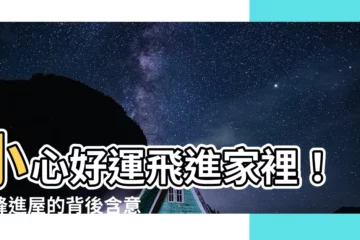 【蜜蜂飛進家裡】小心好運飛進家裡！蜜蜂進屋的背後含意竟然是...