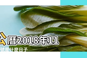 【2018年11月4日黃曆出生】公曆2018年11月4號是什麼日子 |2018年11月4日出生的人五行缺什麼 |2018年11月4日農曆多少號 |