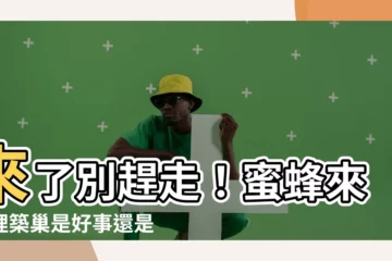 【蜜蜂來家裏築巢是好事嗎】來了別趕走！蜜蜂來家裡築巢是好事還是壞事？