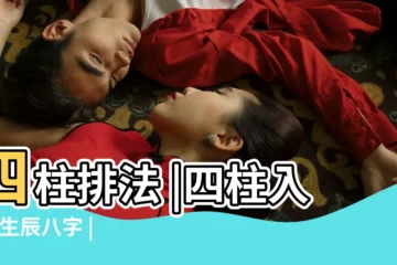 【亥時的四柱是什麼】四柱排法 |四柱入門 |生辰八字 |
