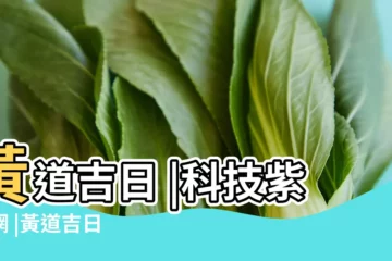 【201712月31日開業好嗎】黃道吉日 |科技紫微網 |黃道吉日 |