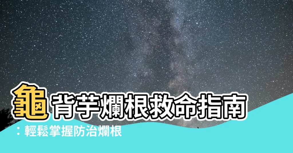 【龜背芋爛根】龜背芋爛根救命指南：輕鬆掌握防治爛根絕招！