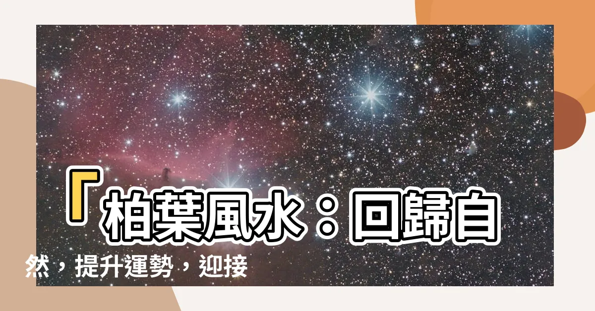 【柏葉風水】「柏葉風水：回歸自然，提升運勢，迎接新春」