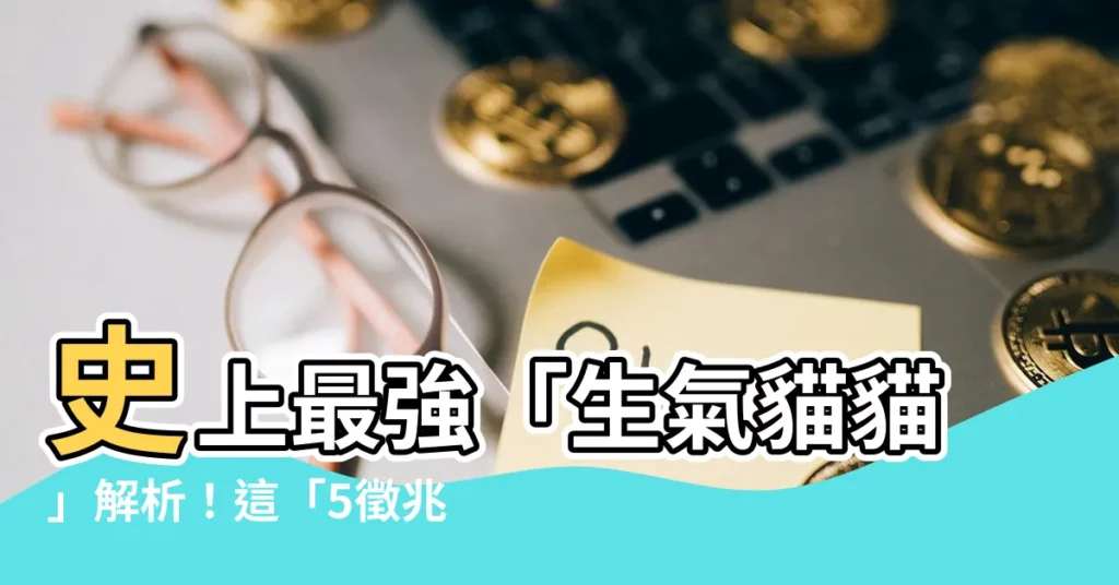 【生氣貓貓】史上最強「生氣貓貓」解析！這「5徵兆」千萬別惹貓咪發火