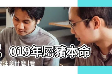 【2019本命年車上放】2019年屬豬本命年要注意什麼 |看看你身邊有幾個 |2019年居然有四個生肖犯太歲 |