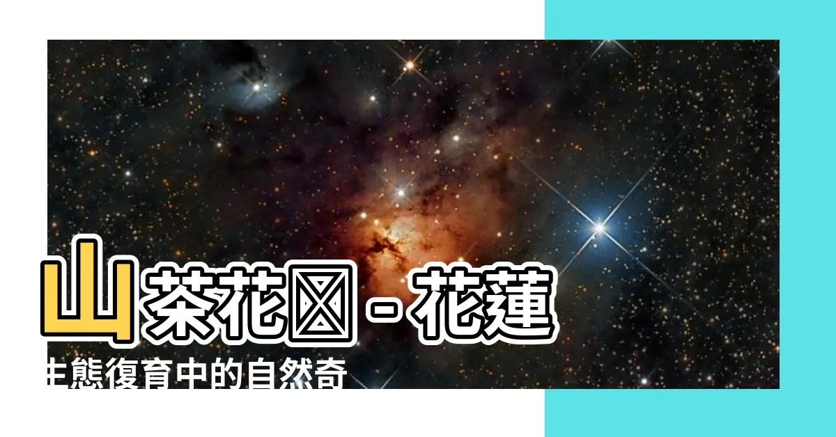 【山茶花樹】山茶花樹 - 花蓮生態復育中的自然奇蹟