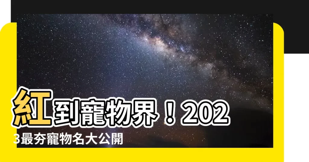 【寵物名】紅到寵物界！2023最夯寵物名大公開，你的毛孩叫什麼？