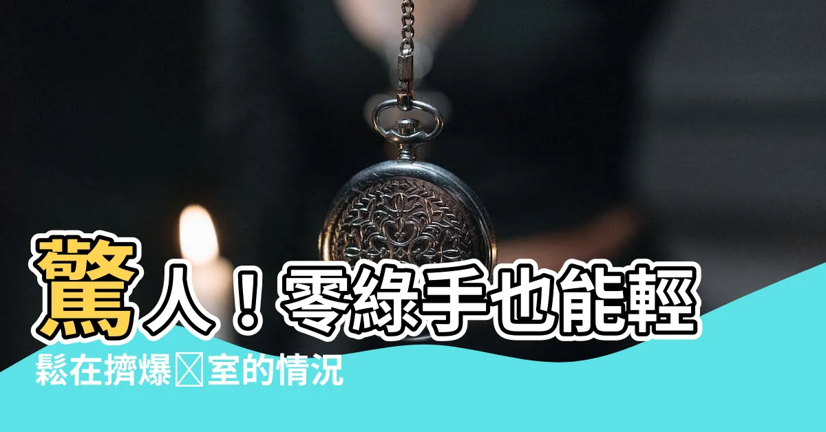 【多肉植物 寢室】驚人！零綠手也能輕鬆在擠爆寢室的情況下養好多肉植物