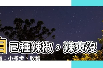 【自己種辣椒】自己種辣椒，辣爽沒煩惱：小撇步、收穫技巧一次學會！