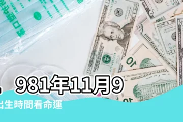 【81年十一月初九是什麼卦】1981年11月9日出生時間看命運 |出生日期1981年11月9日測命運 |1981年11月9日是什麼命 |