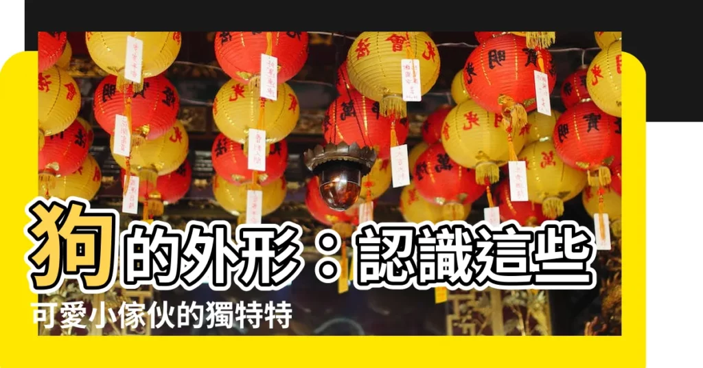 【狗的外形】狗的外形：認識這些可愛小傢伙的獨特特質