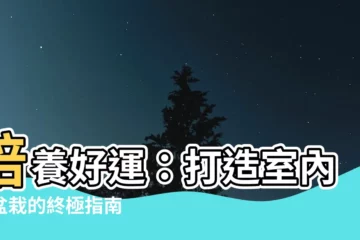 【室內竹】培養好運：打造室內竹盆栽的終極指南