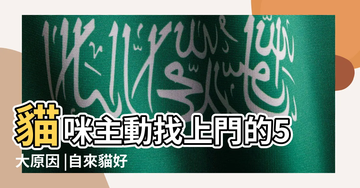 【自來貓意思】貓咪主動找上門的5大原因 |自來貓好不好 |自來貓狗是災是福 |
