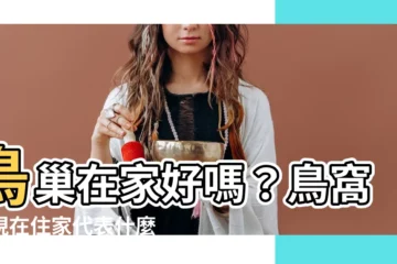 【鳥巢在家好嗎】鳥巢在家好嗎？鳥窩出現在住家代表什麼？