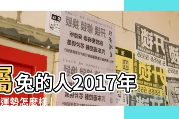 【2017年屬兔人9月份運勢】屬兔的人2017年9月運勢怎麼樣 |2017年屬兔人的全年運勢屬兔2017年運勢運程 |屬兔人2017年9月份運勢 |