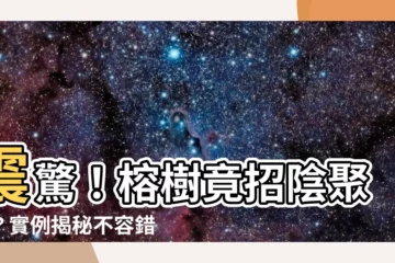 【榕樹聚陰】震驚！榕樹竟招陰聚煞？實例揭秘不容錯過
