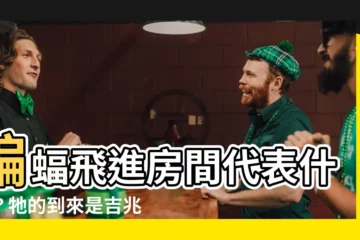 【蝙蝠飛進房間代表什麼】蝙蝠飛進房間代表什麼？牠的到來是吉兆還是凶兆？