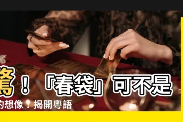 【春袋 意思】驚！「春袋」可不是你的想像！揭開粵語中的「另類春光」