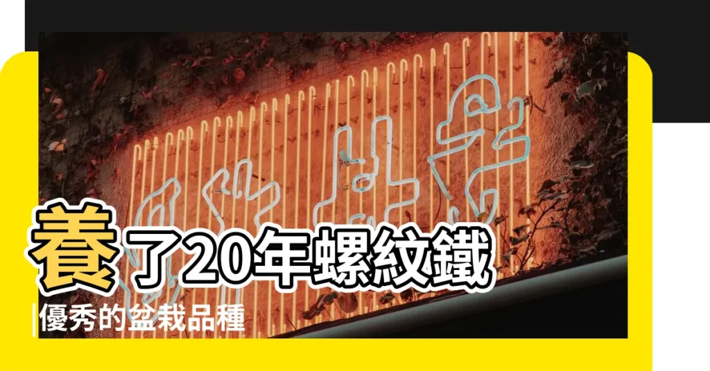 養了20年螺紋鐵 |優秀的盆栽品種 |室內也能種 |【室內植物叫鐵什麼的花】