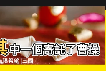 【三國取名字大全】其中一個寄託了曹操的無限希望 |三國十個非常好聽的名字 |三國中最好聽的4個名字 |