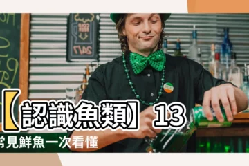 【魚類有哪些】【認識魚類】13 種常見鮮魚一次看懂！食用魚全攻略