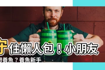 【小朋友養魚】守住懶人包！小朋友也想養魚？養魚新手一次搞懂
