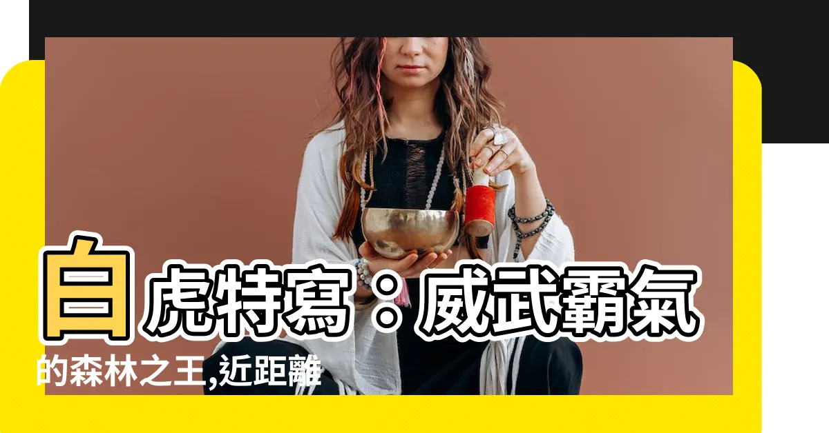 【白虎特寫】白虎特寫：威武霸氣的森林之王,近距離目睹牠的王者風範