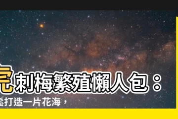 【虎刺梅繁殖】虎刺梅繁殖懶人包：輕鬆打造一片花海，綠意盎然