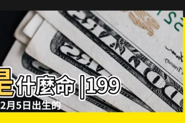 【1997年2月5日出生是什麼命】是什麼命 |1997年2月5日出生的人生辰八字測算 |生日測試性格 |