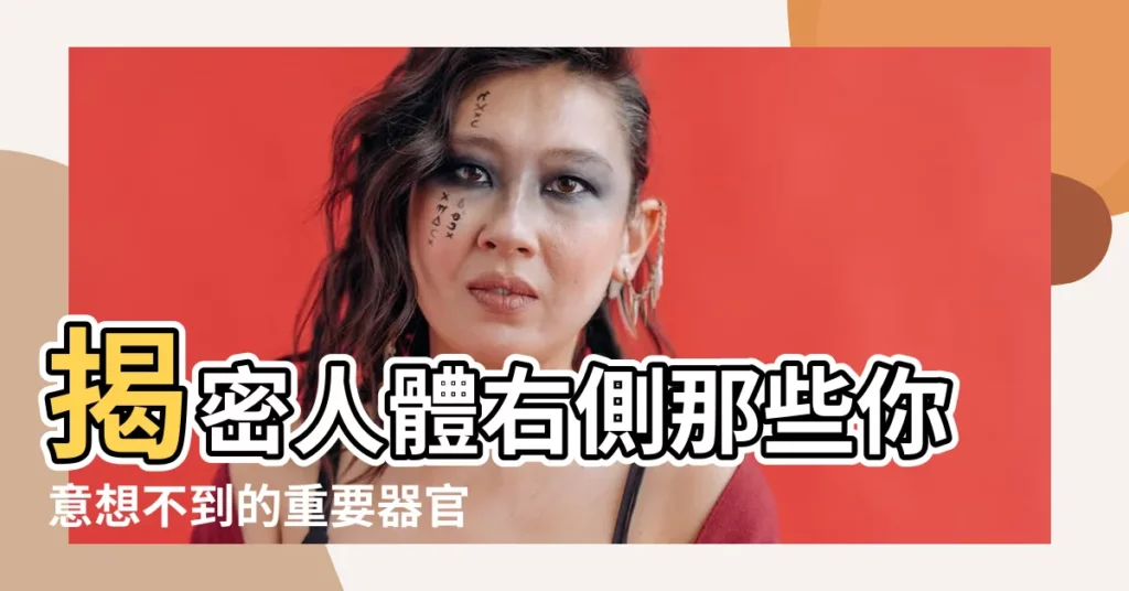 【身體右邊】揭密人體右側那些你意想不到的重要器官