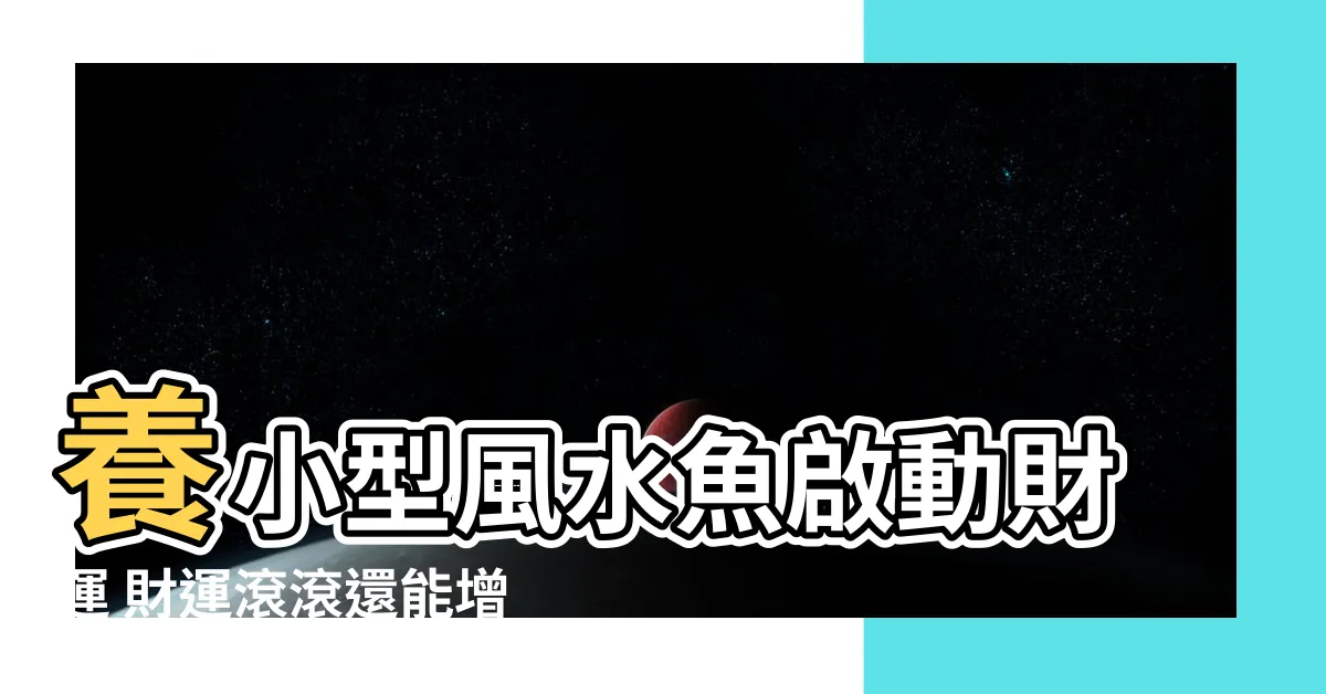 【小型風水魚】養小型風水魚啟動財運 財運滾滾還能增添家居美感