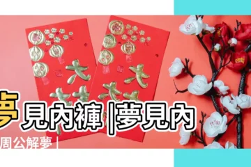 【周公解夢 自己的內褲】夢見內褲 |夢見內褲 |周公解夢 |