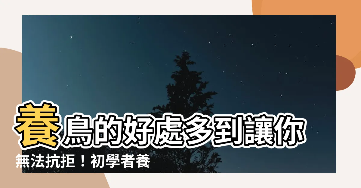 【養鳥的好處】養鳥的好處多到讓你無法抗拒！初學者養鳥必看指南
