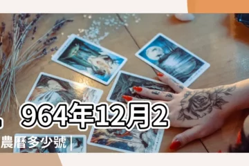 【1964年陰曆12月20】1964年12月20日農曆多少號 |1964年12月20日農曆是初幾查詢 |公曆1964年12月20日是農曆幾月幾號 |