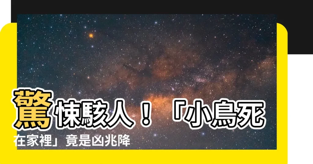 【小鳥死在家裡】驚悚駭人！「小鳥死在家裡」竟是凶兆降臨？