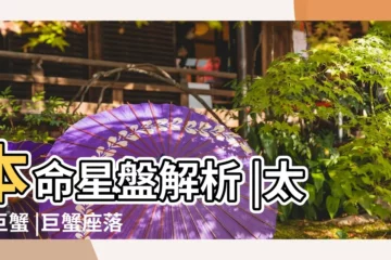 【太陽巨蟹相位】本命星盤解析 |太陽巨蟹 |巨蟹座落於各行星解讀 |