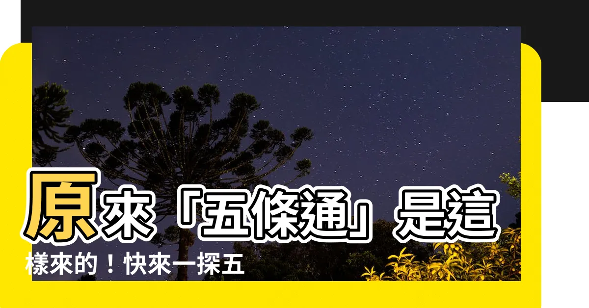 【五條通意思】原來「五條通」是這樣來的！快來一探五條通的由來和日文意思