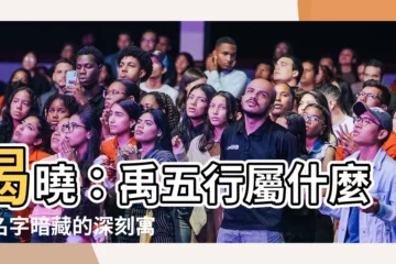 【禹五行】揭曉：禹五行屬什麼？名字暗藏的深刻寓意，一次告訴你！