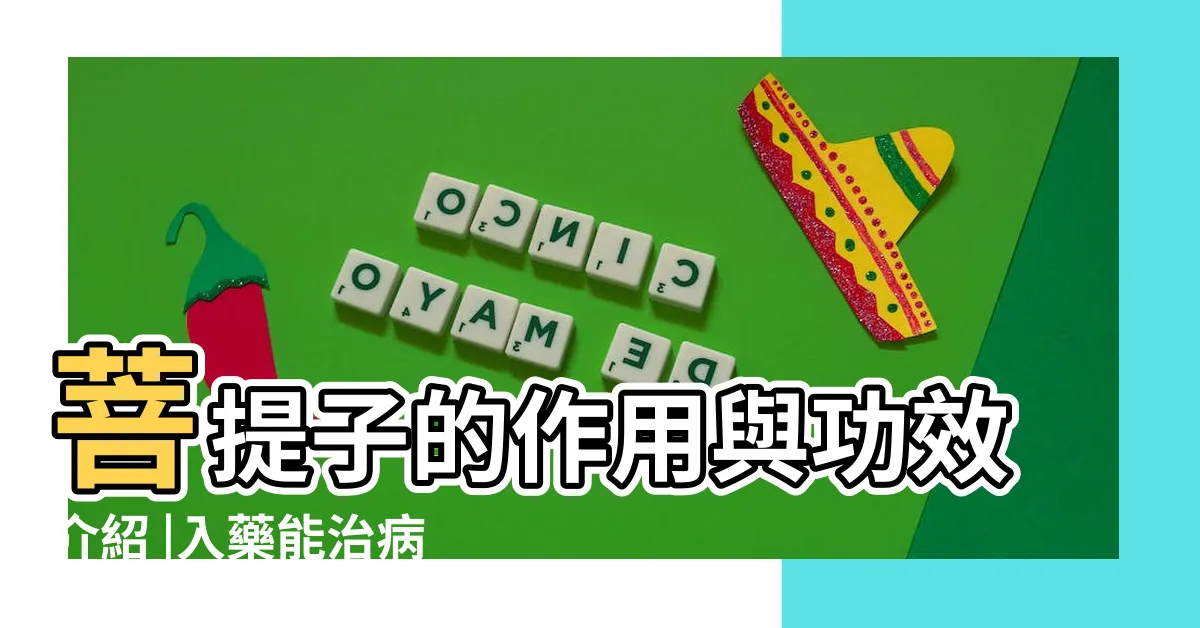 【菩提的功效】菩提子的作用與功效介紹 |入藥能治病的菩提手串盤點 |菩提子功效 |