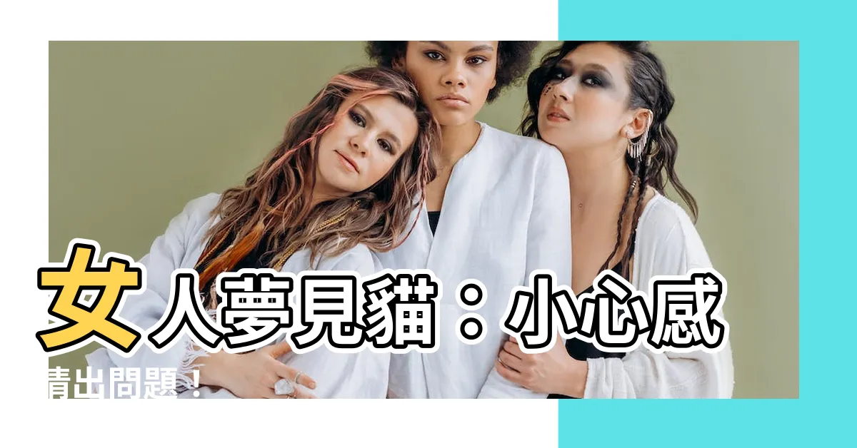 【女人夢見貓】女人夢見貓：小心感情出問題！
