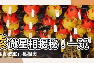 【廉貞破軍長相】紫微星相揭秘！一窺「廉貞破軍」長相奧秘！